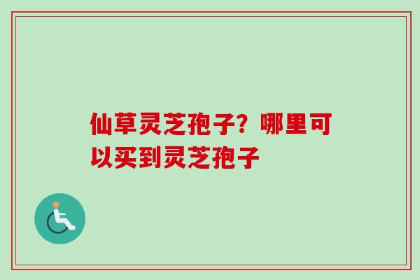 仙草灵芝孢子？哪里可以买到灵芝孢子