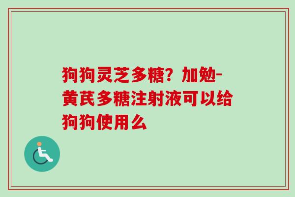 狗狗灵芝多糖？加勉-黄芪多糖注射液可以给狗狗使用么