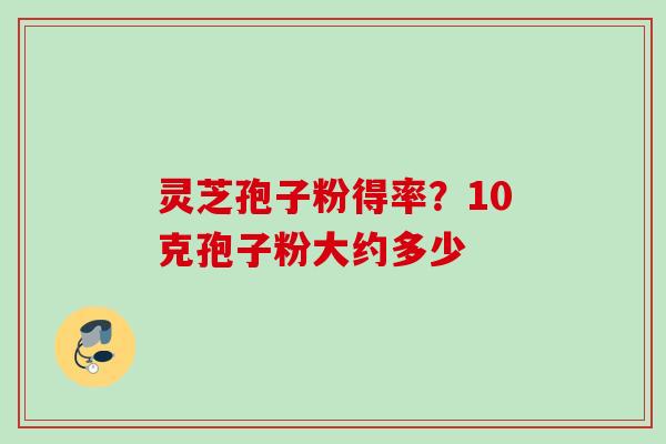 灵芝孢子粉得率?10克孢子粉大约多少