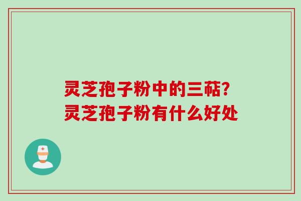灵芝孢子粉中的三萜？灵芝孢子粉有什么好处
