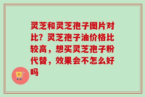 灵芝和灵芝孢子图片对比？灵芝孢子油价格比较高，想买灵芝孢子粉代替，效果会不怎么好吗