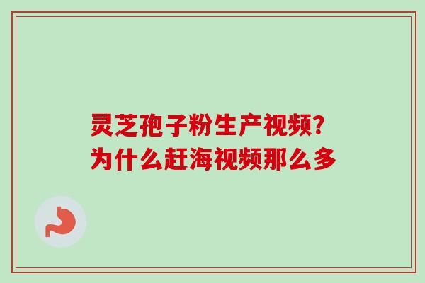 灵芝孢子粉生产视频？为什么赶海视频那么多