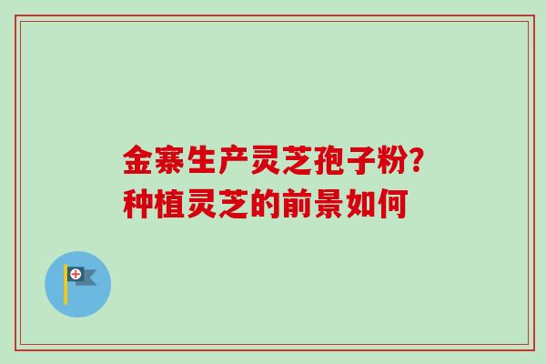 金寨生产灵芝孢子粉?种植灵芝的前景如何