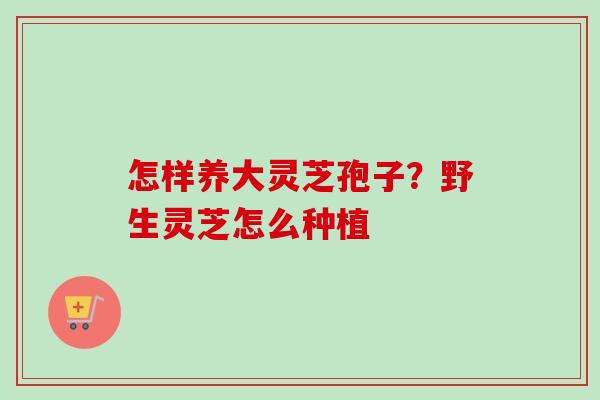 怎样养大灵芝孢子？野生灵芝怎么种植