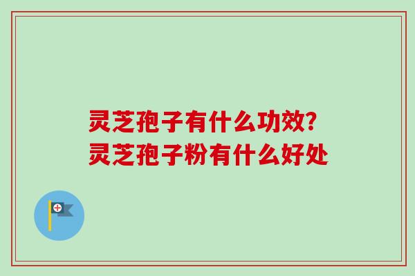 灵芝孢子有什么功效？灵芝孢子粉有什么好处