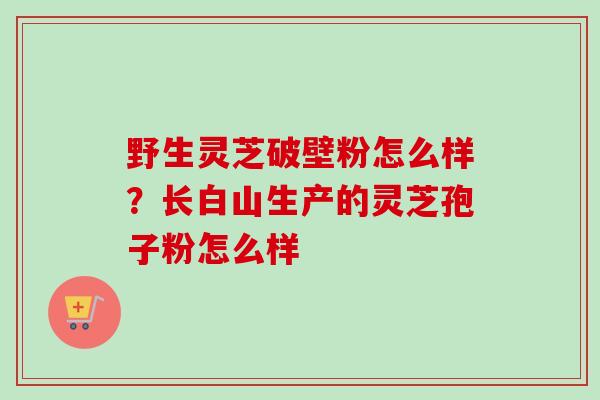 野生灵芝破壁粉怎么样？长白山生产的灵芝孢子粉怎么样