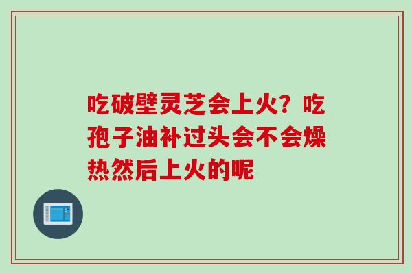 吃破壁灵芝会上火？吃孢子油补过头会不会燥热然后上火的呢