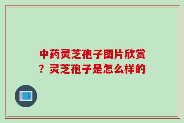 中药灵芝孢子图片欣赏？灵芝孢子是怎么样的