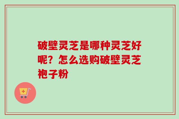 破壁灵芝是哪种灵芝好呢？怎么选购破壁灵芝袍子粉