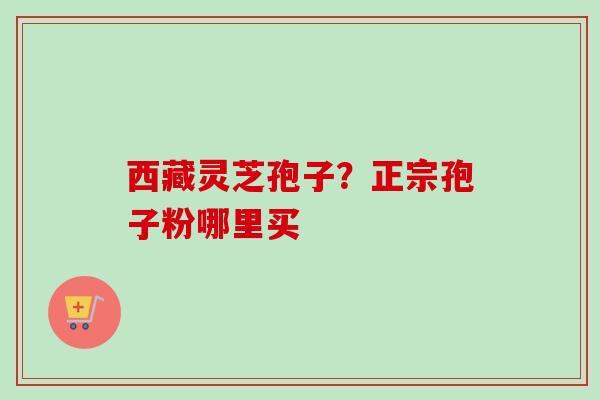 西藏灵芝孢子？正宗孢子粉哪里买