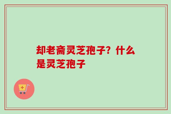 却老斋灵芝孢子？什么是灵芝孢子