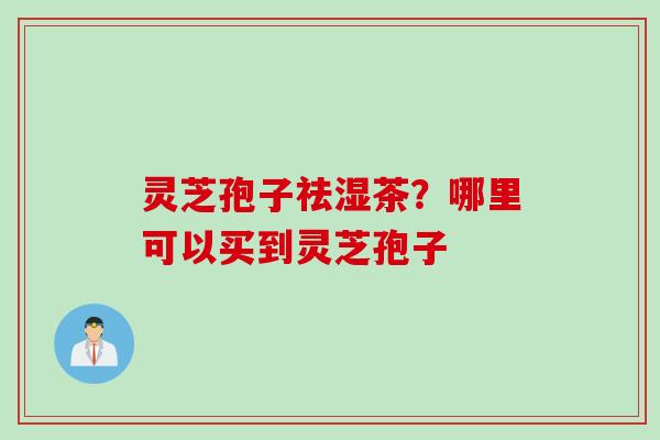 灵芝孢子祛湿茶？哪里可以买到灵芝孢子