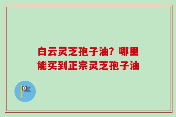 白云灵芝孢子油？哪里能买到正宗灵芝孢子油