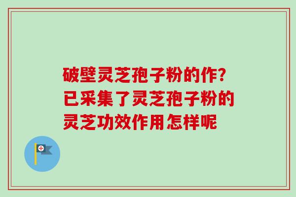 破壁灵芝孢子粉的作？已采集了灵芝孢子粉的灵芝功效作用怎样呢