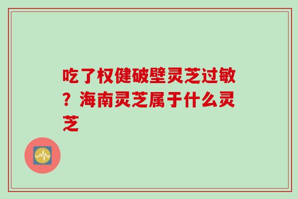 吃了权健破壁灵芝过敏?海南灵芝属于什么灵芝