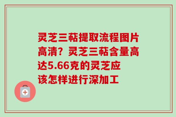 灵芝三萜提取流程图片高清？灵芝三萜含量高达5.66克的灵芝应该怎样进行深加工