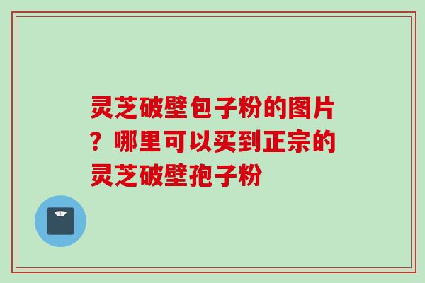 灵芝破壁包子粉的图片？哪里可以买到正宗的灵芝破壁孢子粉