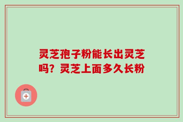 灵芝孢子粉能长出灵芝吗?灵芝上面多久长粉