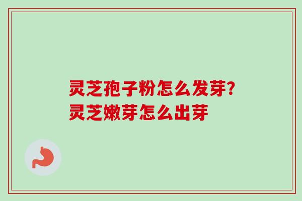 灵芝孢子粉怎么发芽？灵芝嫩芽怎么出芽