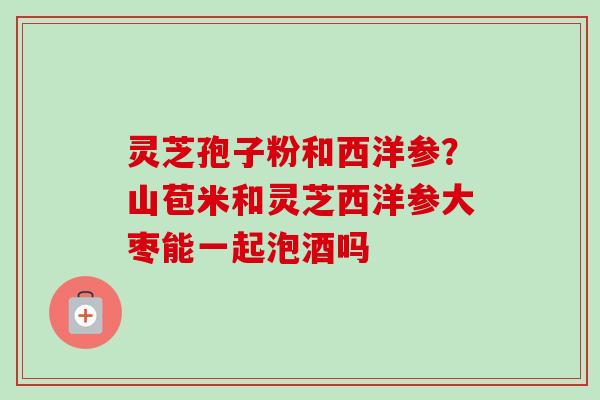 灵芝孢子粉和西洋参？山苞米和灵芝西洋参大枣能一起泡酒吗