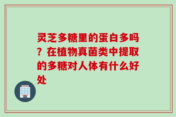 灵芝多糖里的蛋白多吗？在植物真菌类中提取的多糖对人体有什么好处