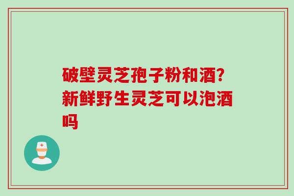 破壁灵芝孢子粉和酒？新鲜野生灵芝可以泡酒吗