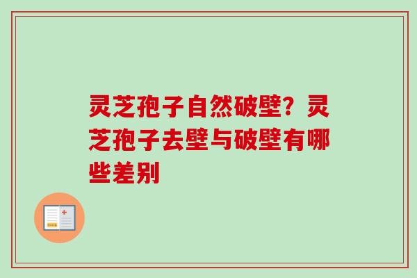 灵芝孢子自然破壁？灵芝孢子去壁与破壁有哪些差别
