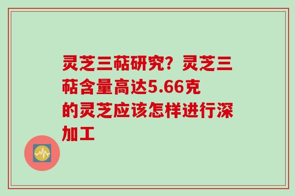灵芝三萜研究?灵芝三萜含量高达5.66克的灵芝应该怎样进行深加工