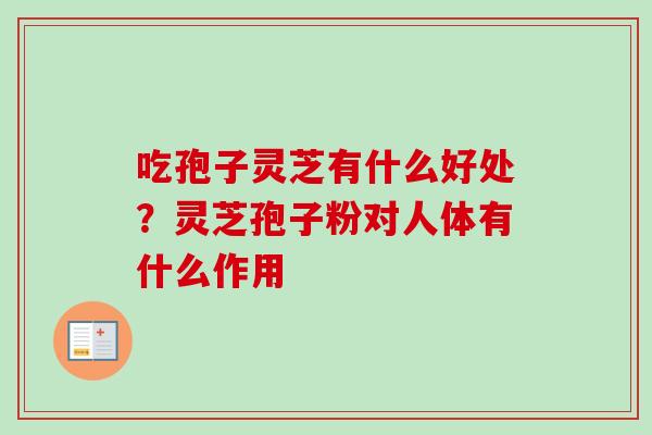 吃孢子灵芝有什么好处？灵芝孢子粉对人体有什么作用