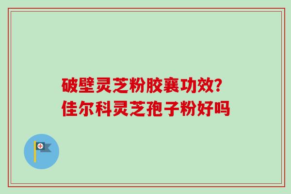 破壁灵芝粉胶襄功效？佳尔科灵芝孢子粉好吗