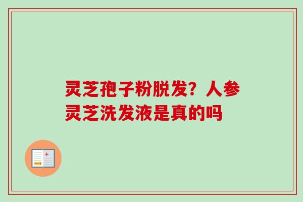 灵芝孢子粉脱发？人参灵芝洗发液是真的吗