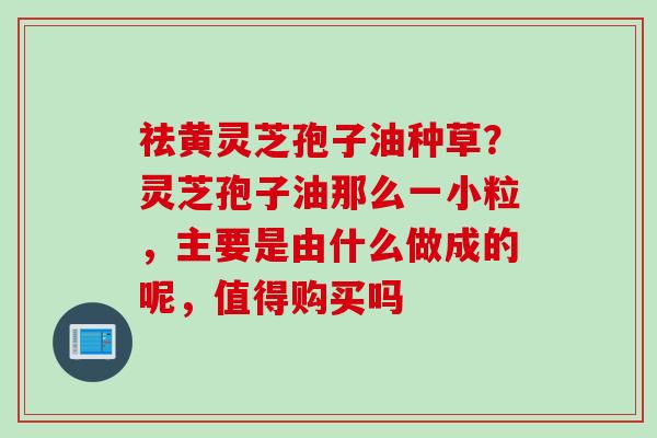 祛黄灵芝孢子油种草？灵芝孢子油那么一小粒，主要是由什么做成的呢，值得购买吗
