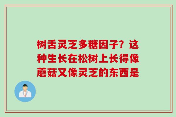 树舌灵芝多糖因子？这种生长在松树上长得像蘑菇又像灵芝的东西是