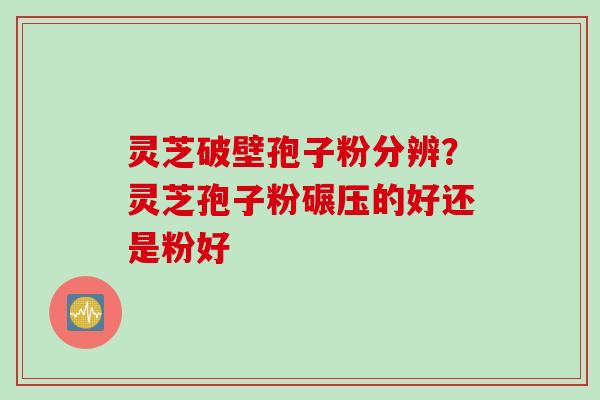 灵芝破壁孢子粉分辨？灵芝孢子粉碾压的好还是粉好