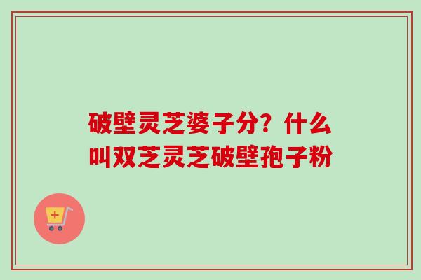 破壁灵芝婆子分?什么叫双芝灵芝破壁孢子粉