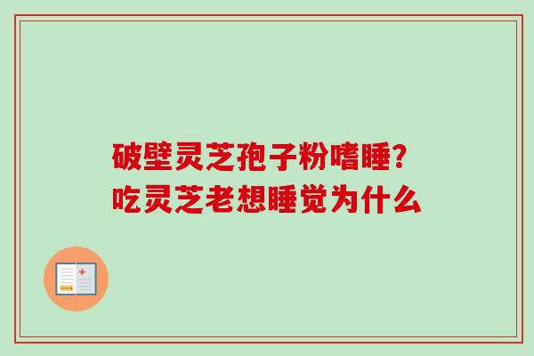 破壁灵芝孢子粉嗜睡？吃灵芝老想睡觉为什么