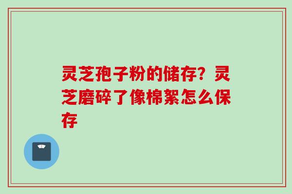 灵芝孢子粉的储存？灵芝磨碎了像棉絮怎么保存