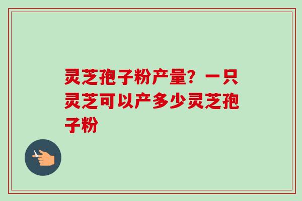 灵芝孢子粉产量？一只灵芝可以产多少灵芝孢子粉