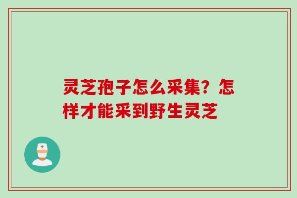 灵芝孢子怎么采集？怎样才能采到野生灵芝