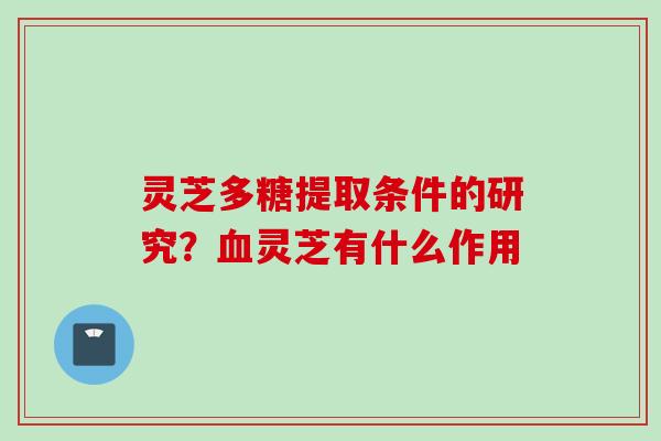 灵芝多糖提取条件的研究？血灵芝有什么作用