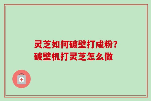 灵芝如何破壁打成粉？破壁机打灵芝怎么做