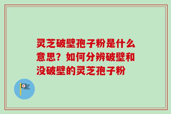 灵芝破壁孢子粉是什么意思？如何分辨破壁和没破壁的灵芝孢子粉