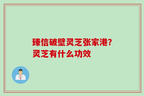 臻信破壁灵芝张家港？灵芝有什么功效
