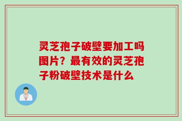 灵芝孢子破壁要加工吗图片？最有效的灵芝孢子粉破壁技术是什么