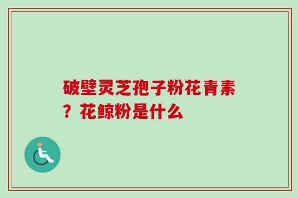 破壁灵芝孢子粉花青素？花鲸粉是什么