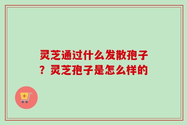 灵芝通过什么发散孢子?灵芝孢子是怎么样的