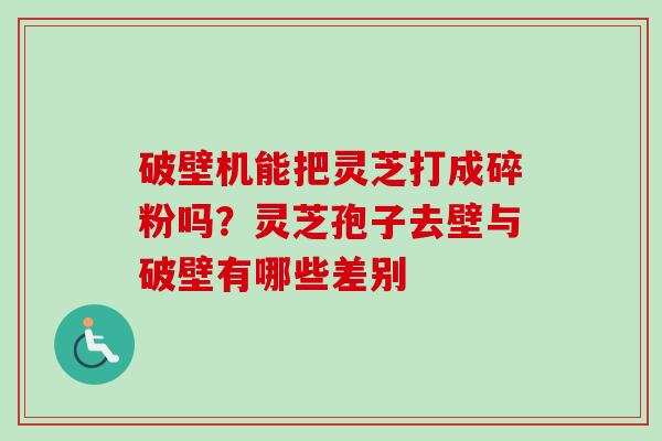 破壁机能把灵芝打成碎粉吗？灵芝孢子去壁与破壁有哪些差别