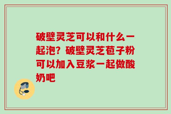 破壁灵芝可以和什么一起泡？破壁灵芝苞子粉可以加入豆浆一起做酸奶吧