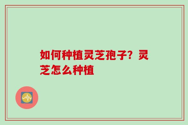 如何种植灵芝孢子?灵芝怎么种植