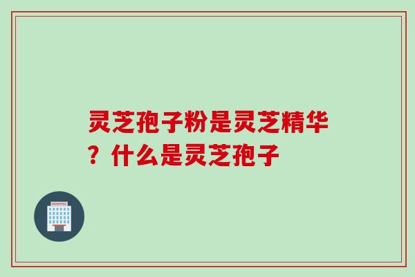 灵芝孢子粉是灵芝精华？什么是灵芝孢子